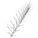 Hroty proti ptákům - 50 cm (120 hrotů/m)